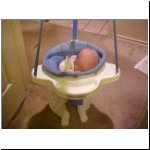 03-02-19_02__VB2 in Jumper.jpg